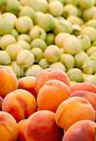 Fresh Organic Peach And Nectarines