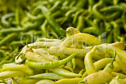 Organic Fresh Ripe Green Peppers