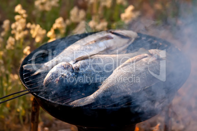 Sea Bream Fish Grilling On BBQ