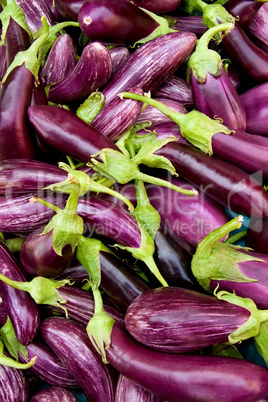 Organic Fresh Eggplant At A Farmer Market