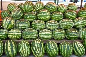 Organic Ripe Watermelon Heap