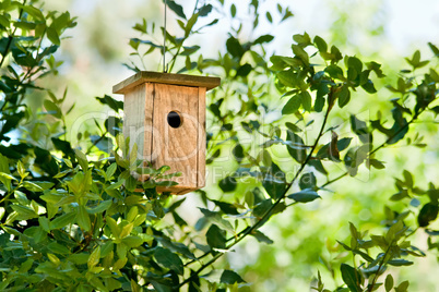 Wooden Birdhouse Hanging In The Tree