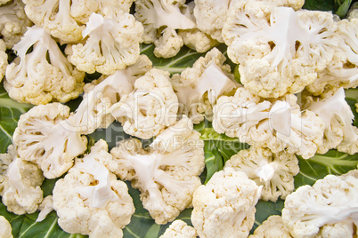 Organic White Cauliflower