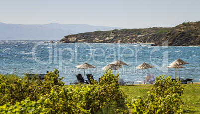Beds and Straw Umbrellas On A Beach By Grape Vines At Bozcaada,