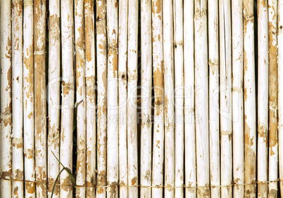 Old Bamboo Wall With Weathered White Paint Background Texture