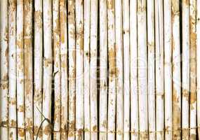 Old Bamboo Wall With Weathered White Paint Background Texture