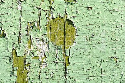 Green wooden background. old green wooden grunge background