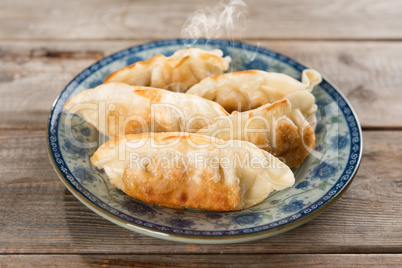Asian food pan fried dumplings