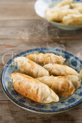 Asian dish pan fried dumplings