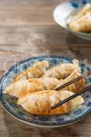 Asian cuisine pan fried dumplings