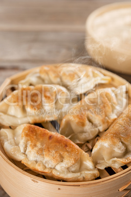 Chinese gourmet pan fried dumplings