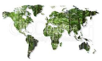 destruction of the forests in the world