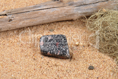 Leopardenjaspis am Strand