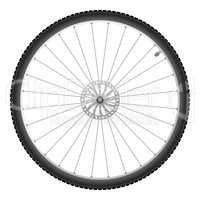 Bicycle wheel, vector