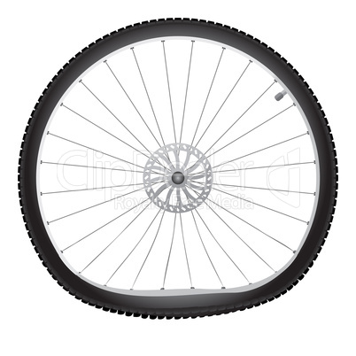 Broken bicycle wheel