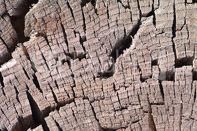 old wood plaque texture or background