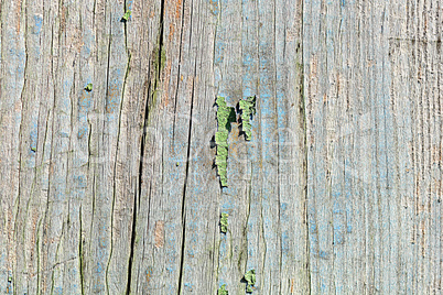 Wooden plate for background, old wooden texture