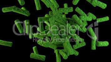 green bacteria cells