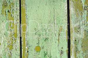 Surface of an empty green wooden background.