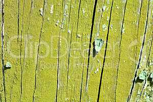 Old rough tree bark background texture