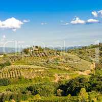 vineyards in Tuscany