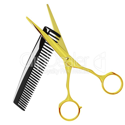 Barber scissors and comb