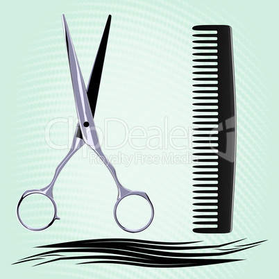 Barber scissors and comb