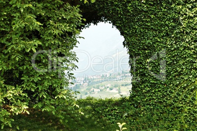 Hecke mit Durchgang