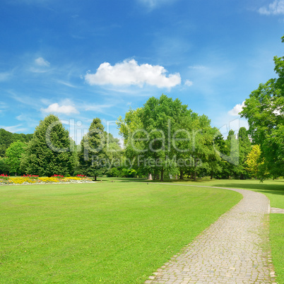 Beautiful meadow in the park
