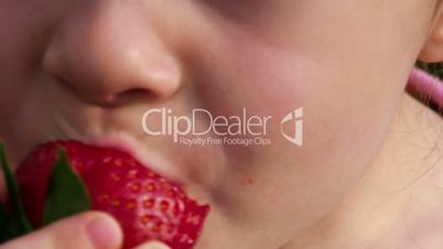 Strawberry Clip #2