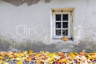 Old window at autumn