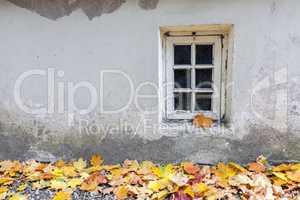 Old window at autumn
