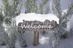 Christmas Sign Snow Fir Tree Branch Text Welcome