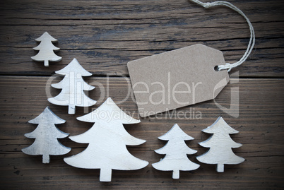 Label And Christmas Trees Copy Space Frame