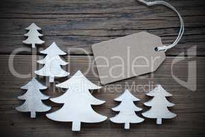 Label And Christmas Trees Copy Space Frame