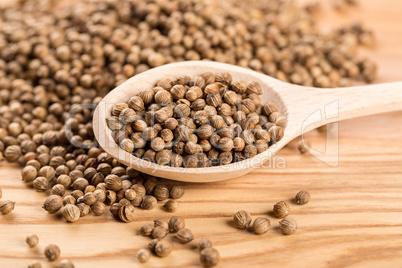 Close up of dried coriander seeds in the wooden spoon on the wood table