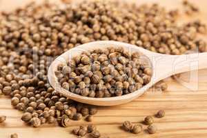 Close up of dried coriander seeds in the wooden spoon on the wood table