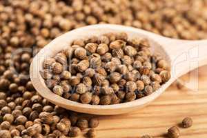 Close up of dried coriander seeds in the wooden spoon on the wood table