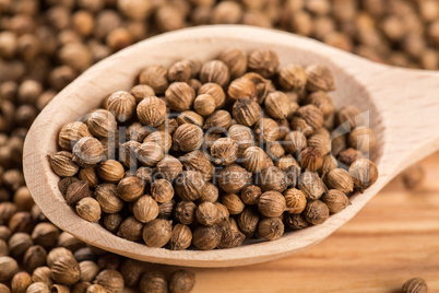 Close up of dried coriander seeds in the wooden spoon on the wood table
