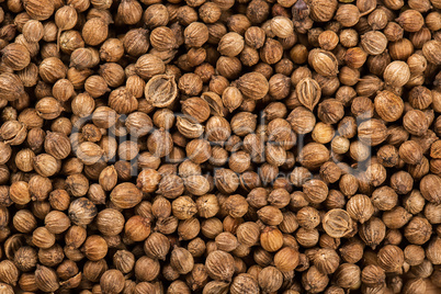 Background of dried coriander seeds