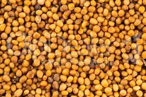 Brown mustard seeds abstract background