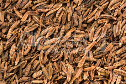 Close up of cumin seeds. Macro