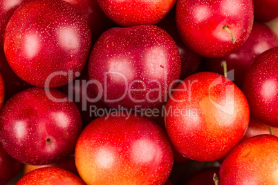 Ripe Plums Background