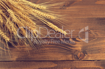 Wheat on wooden background