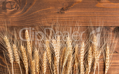 Wheat on wooden background