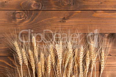 Wheat on wooden background