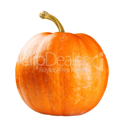 Fresh orange pumpkin isolated on white background