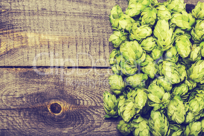 Fresh green hops on a wooden table. Blue toned