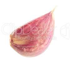 Garlic isolated on white background