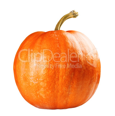 Fresh orange pumpkin isolated on white background